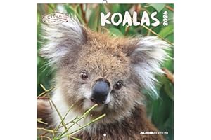 Alpha Edition - Calendario de Koalas 2026 – Calendario de pared 30×30 cm (abierto 30×60) en formato de librito con 12 motivos de animales, calendario con espacio para notas, idea de regalo para