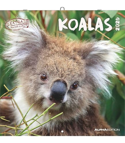 Down Under voller Wunder (Wandkalender 2026 DIN A3 quer), CALVENDO Monatskalender: Australiens Tierreich: Ein Jahr in KI generierten Bildern (CALVENDO Tiere) : CALVENDO, Waurick, Kerstin