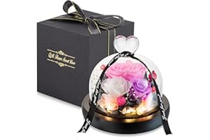 Glasseam Muttertag Blumen Infinity Rose, Konservierte Rose Geschenke für Mädchen, Haltbare Rose im Glas mit Licht, Rosen Deko Ewige Rose, Romantische Frau