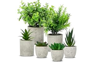 ACOMTUO 6 Stück Kunstpflanze, Mini Künstliche Pflanzen Schlangenzunge, Agave Sukkulente, Eagle Claw Aloe, Fake Plant für Home Schlafzimmer Badezimmer Küchen Büro Zimmer Fensterbank Zuhause Innen Dekoration