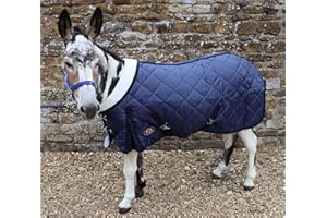 RUGGLES EQUESTRIAN Ruggles 200g Middleweight Stable Rug for Shetland Section A Donkey Foal Miniature Horse | Soft Nylon Lining | Smart Versatile Rug for Cooler Days (4' 9", Navy)