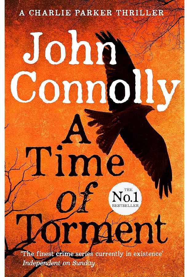 The Burning Soul: A Charlie Parker Thriller : Connolly, John