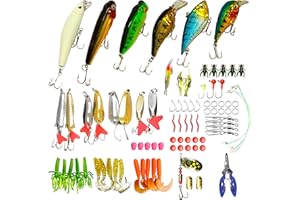 Soontrans Leurre Peche Carnassier Set, Leurre Peche Mer Set avec Minnow, Popper, Leurre Souple, pour Les Poissons d'eau Douce et d'eau Salée pour Truite, Perche, Brochet, Sandre, Bar