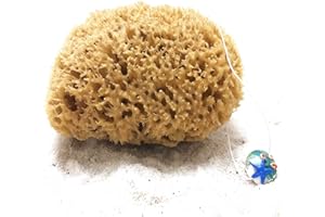 ‎TOM&PAT tom&pat Naturschwamm mit Kordel & Glasanhänger - Dermatest: Sehr gut, ungebleichter Badeschwamm Duschschwamm Körper, Peeling Schwamm aus Griechenland, Premiumqualität (25-26 cm)