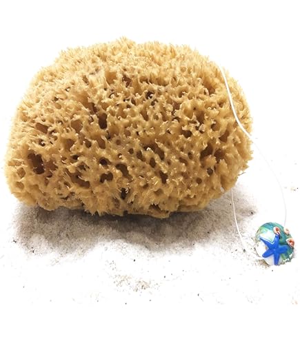 Natural Sea Sponge For Bath And Body, Large Eco-Friendly Exfoliating - View #2