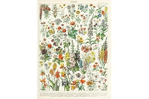 ARTERY8 Millot Encyclopedia Page Flowers Plants Unframed Wall Art Print Poster Home Decor Premium Fleurs Plante Mur Affiche Accueil Déco