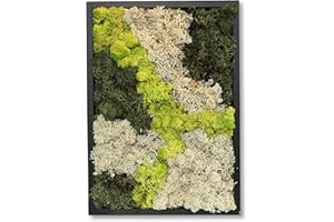 comforder Quadro da parete rettangolare con vero muschio (38 cm), immagine muschio conservata con cornice in legno, decorazione da parete naturale per il soggiorno