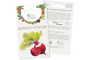 Graines de betterave rouge (Beta vulgaris): graine de betterave rouge à semer pour environ 80 plants - Semences de légume betterave pour potager et jardin à planter - Qualité supérieure OwnGrown