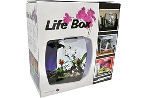 LUCKY REPTILE Lucky Rettile Life Box terrario Design