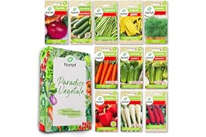LW TORAF Set de Semillas Huerto XXL 12 variedades premium de hortalizas, 2500 semillas, plantas de jardín, balcón, cocina, cebolla, judía, eneldo, zanahoria, pepino,tomate,pimiento,plantas aromaticas