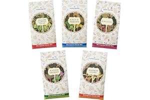 Verdant Republic Microgreens Salad Seeds Mix | Fawn Collection- 5 Seeds Mix Packs | High Germination & Easy to Sprout | Over 16 Vegetable & Herbs Varieties incl Broccoli, Radish, Kale