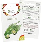 Chili Samen Early Jalapeño: 5 Premium Early Jalapeno Chilisamen zum Anbau von Chili Pflanzen für Balkon, Kübel und Garten – J