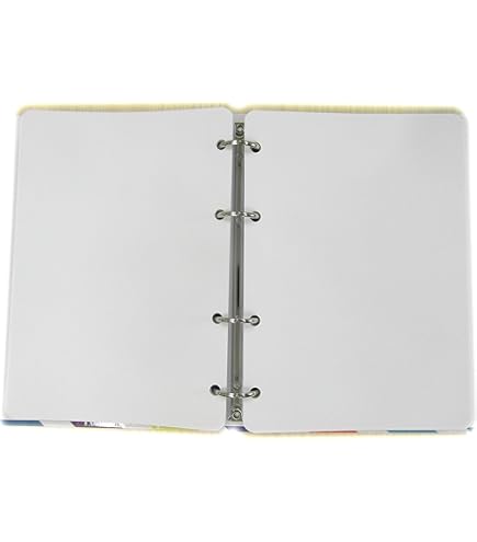 Ersatzminen 100 Blätter - Dickes 120g Papier Für A5-6-Ring-Organizer