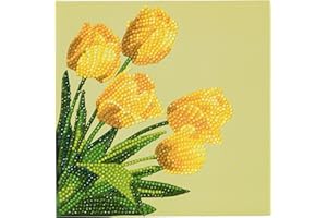 CRYSTAL ART Lot de 18 Cartes en Cristal 18 x 18 cm Multicolore