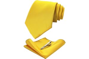 JEMYGINS Cravatta Uomo Formali Matrimonio Riunirsi Occasioni Multicolore con Fazzoletto e Fermacravatta