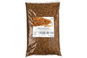 UGF UNDERGROUND FOOD UGF - vers de Farine Premium 6,5 litres, collations d'insectes pour Oiseaux, Hamsters, hérissons, rongeurs, lézards, Tortues - Nourriture Universelle (vers de Farine séchés 1 Kilogramme)