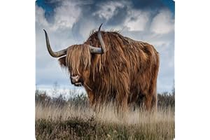 Highland Cow - Glass Worktop Saver/Protector - by Pearl Glass (40 x 40cm Square)