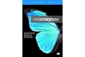 Metamorphose: Die geheimnisvolle Schönheit der Schmetterlinge