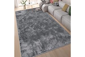 homeart Area Rugs – Soft, Short Pile Monochrome Carpets - Anti-Slip Backing, Machine Washable, Modern Fluffy Rugs for Living Room, Bedroom, Kitchen, Enterance - Anthracite, 120x170 cm