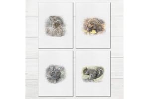 A&M Natural Living Woodland Animal Prints, Set Of 4 Watercolour Style A4 Animal Prints For Nursery, Baby Girl Boy Bedroom Living Room Posters, Wall Art Gift Present Deer Hedgehog Rabbit Squirrel Decor