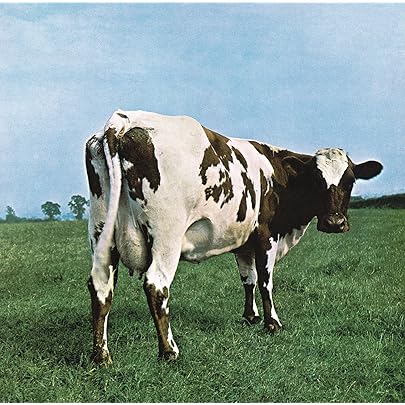 ATOM HEART MOTHER LP UK HARVEST 1970: PINK FLOYD: Amazon.it: CD e