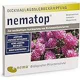 nematop® HB Nematoden zur Bekämpfung des Dickmaulrüsslers - 10 Mio. für 20m²