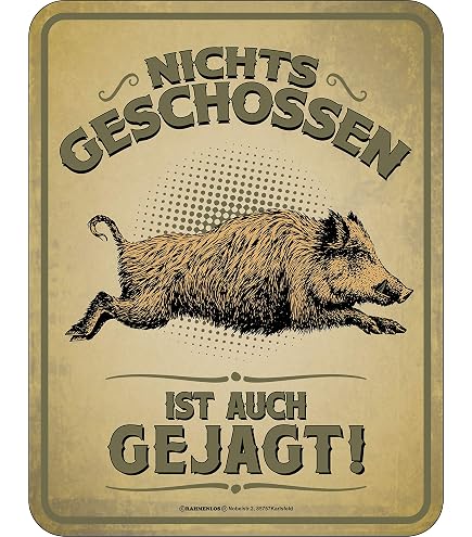 Blechschild Retro – „Niemand Ist Perfekt, Doch Als Musiker“ | Witziger Spruch | 20x30 Cm | Vintage