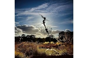 UVAN ART Fate e soffioni ballano insieme, palo da giardino, fata magica, statua di filo, decorazione del giardino, prato, sentiero, terrazza, ornamenti(C)