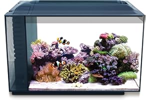Toulifly Fluval 10531 A1 Sea Evo XII. Aquarium-Set