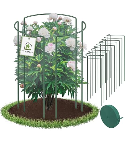 Strauchsttze 55 cm, 5 mm, grn, vollrund, verstellbar : Amazon.de: Garten