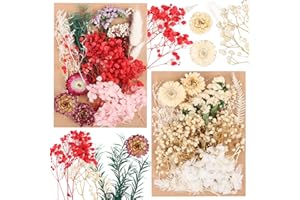 MPLEHDA Juego de Flores Secas, Flores Secas Naturales en Relieve, Flores Secas Mezcladas,Flores Preservadas Resina Epoxi Joyería Hojas Secas Mixtas para Resina para Manualidades Scrapbooking