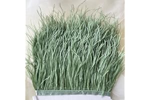 BENE OMNIA Frangia con piume di struzzo, 36 colori, soffici piume, per modisteria, fascinator, creazioni artigianali e sartoria, confezione da 1 metro