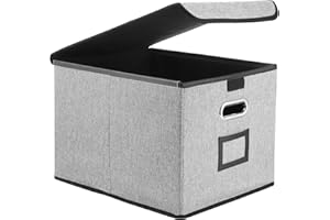 JIANTA Caja de Archivo Colgante A4, Caja de Almacenamiento con Tapa - Almacenamiento de Documentos, Cajas de Archivo (Gris)