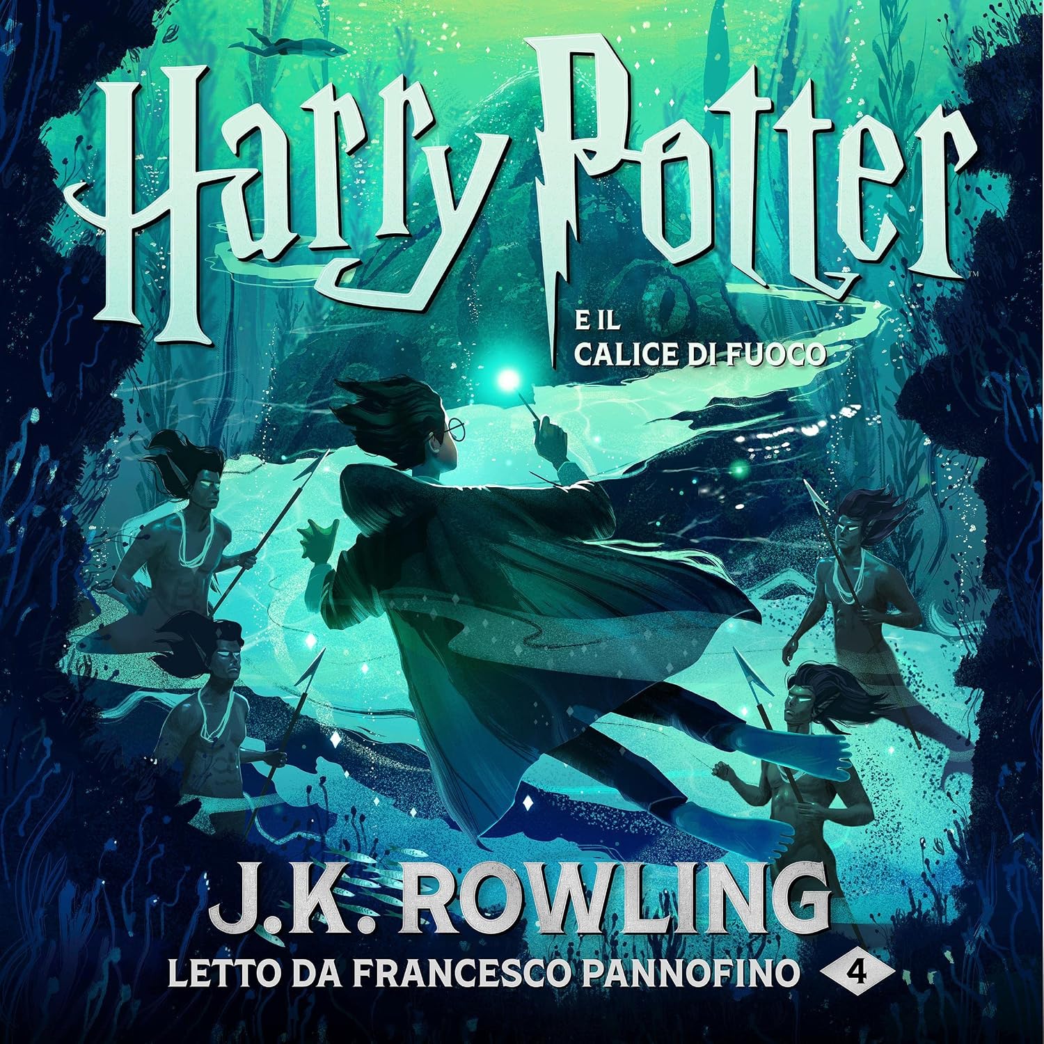 Retour d'Expérience & Bilan Utilisateur : Harry Potter e il Calice di Fuoco Harry Potte