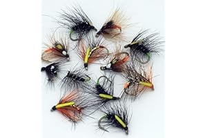 BestCity Juego de 10 – 14 moscas de trucha para pesca con mosca, 12 moscas # 100
