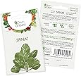 OwnGrown Premium Spinat Samen (Spinacia oleracea), Spinatsamen zum Anbauen, Saatgut für rund 200 Spinat Pflanzen Sorte Spinat Matador