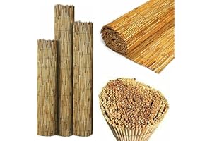 SASONS® Quality Garden Natural Peeled Reed Fence Screen Roll Panel Best for Outdoor Privacy, Fencing Screening Wooden Fence Walls Sun/Wind Protection [ 2 x 4 meter ]
