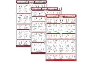 Palace Learning 3 Pack: Resistance Bands Workouts Volume 1 & 2 + Resistance Loops Exercises Poster Set - Set of 3 Workout Charts