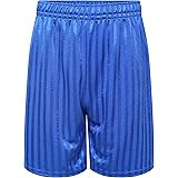 blue stripe pe shorts