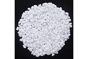 HREDZEO Piccoli Ciottoli Bianchi Naturali,250G Ciottoli Bianchi Piccole Pietre Ghiaia Decorativa Pietre di Roccia di Fiume Pietre Ghiaia Decorativa Sassi per Piante Acquari Giardino Decorazioni (250g)