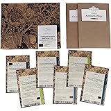 Traditionelle heimische Heilpflanzen (Bio) - Samen-Geschenkset mit 5 europäischen, alten Heilkräutern für den Arzneigarten
