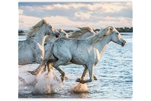 murando Papier peint intissé Cheval 350x256 cm Décoration Murale XXL Poster Tableaux Muraux Tapisserie Photo Trompe l'oeil Animaux g-B-0142-a-a