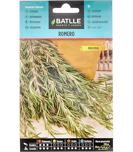 Semi Di Salvia Officinalis - Erba Aromatica, Per Cucina E Orto - Foto 7