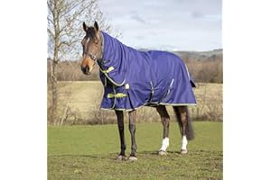 Asker 200g Horse Combo Neck Turnout Rug - Navy Blue