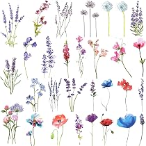 EROSPA Temporäre Tattoos – Schmetterlinge & Blumen, 10,5x6 Cm, Wasserfest & Hautverträglich