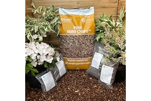 Hortus Planta Melcourt Pine Mini Chips - Stylish Bark Mulch 5L Pack