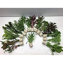 Aquarium Sand 25kg Natur - Deutsche Premiumqualität 1,6-2,5mm Für Süß-/Salzwasser