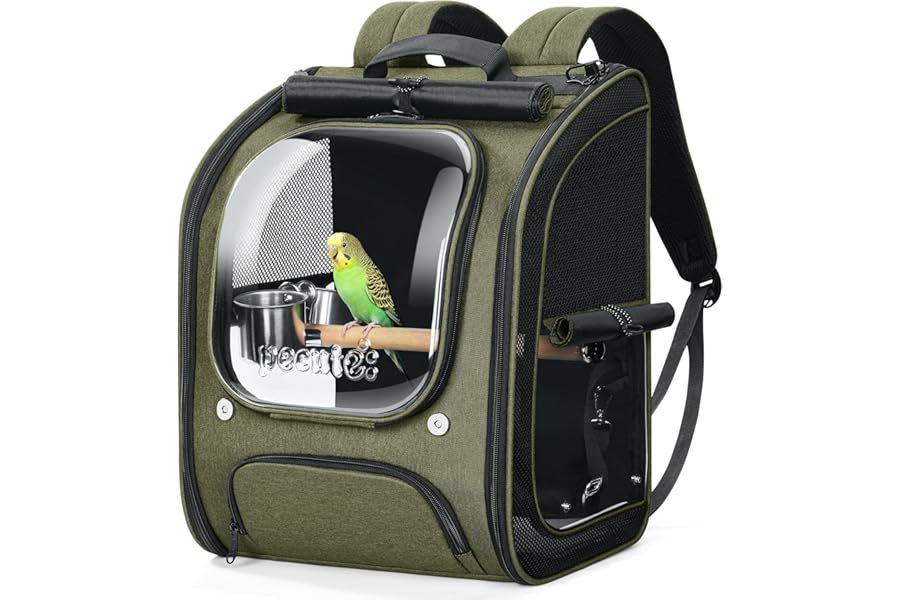 pecute Bird Carrier Backpack Clear Bubble, Large Bird Backpack with Adjustable Tripod, Lightweight and Portable Parrot Travel Backpack, Wide View and Shading Parrot Backpack for Hiking,Green