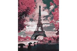 Artnapi Kit di pittura con i numeri per adulti senza cornice, pittura a mano fai da te, per principianti e adulti, con colori acrilici e pennelli, tela da 40 x 50 cm, Tour Eiffel romantica