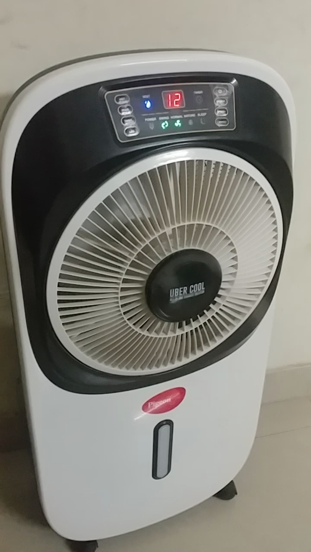 pigeon uber cool 12776